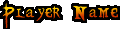 Player Name